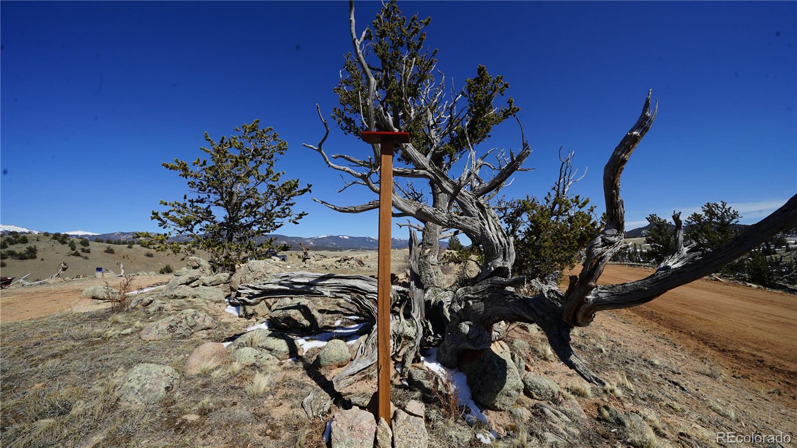 278 Way Station Court Jefferson CO 80456