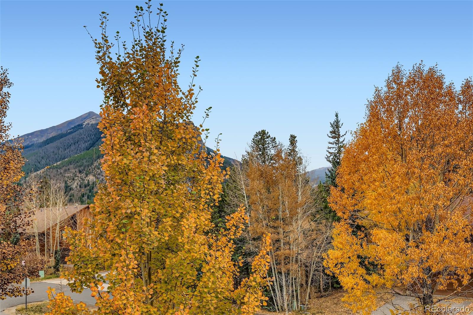 717 Meadow Drive Frisco CO 80443