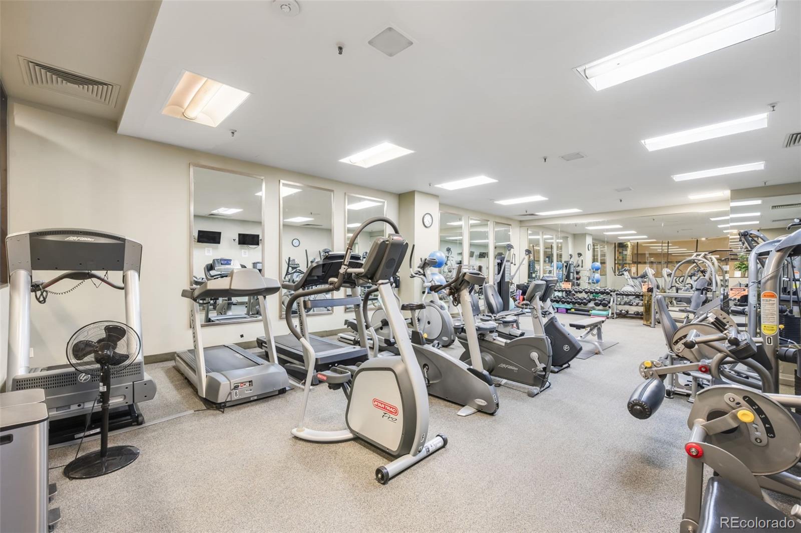 1551 Larimer Street Denver CO 80202
