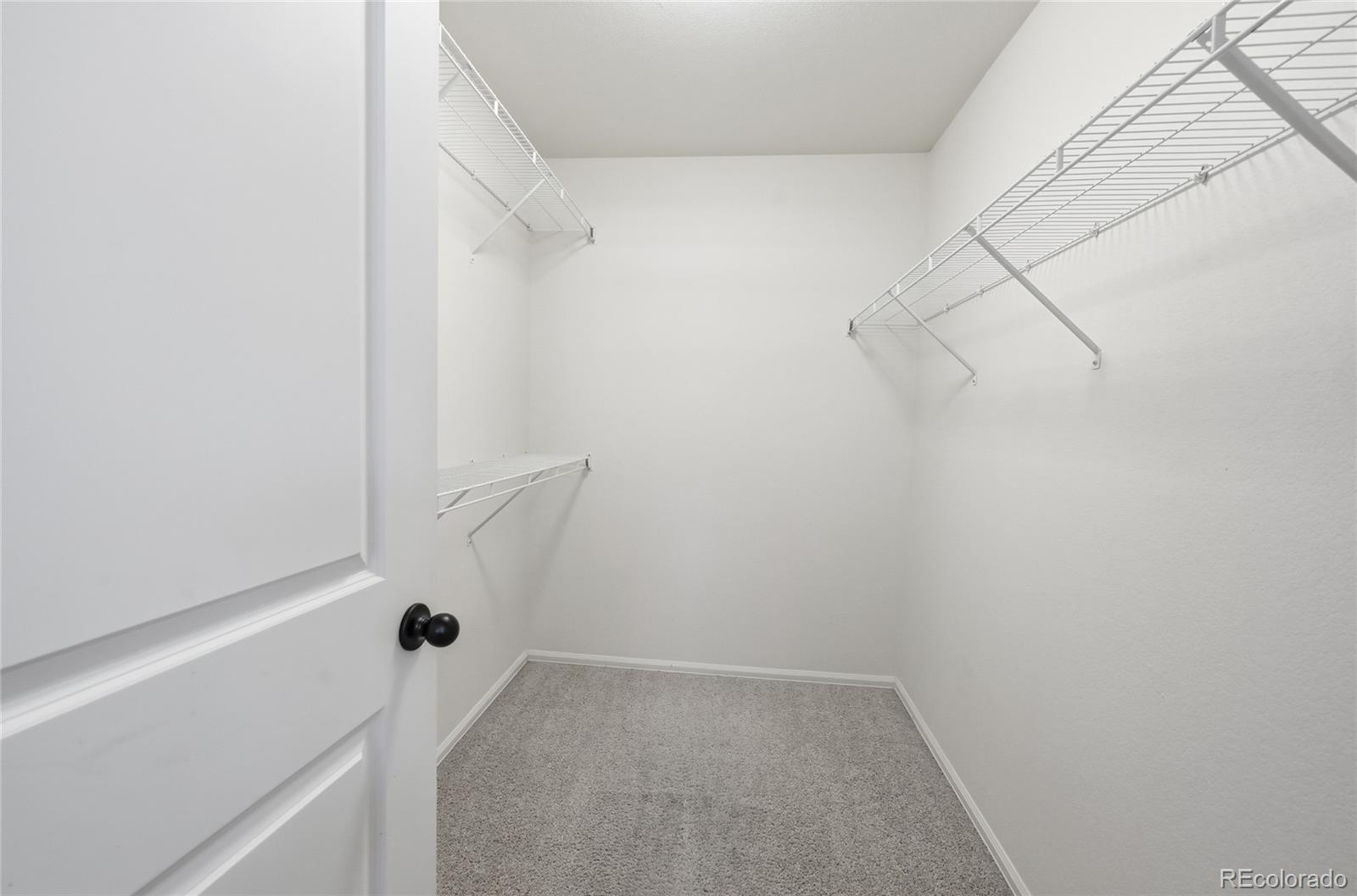 5318 Remington Avenue Longmont CO 80504