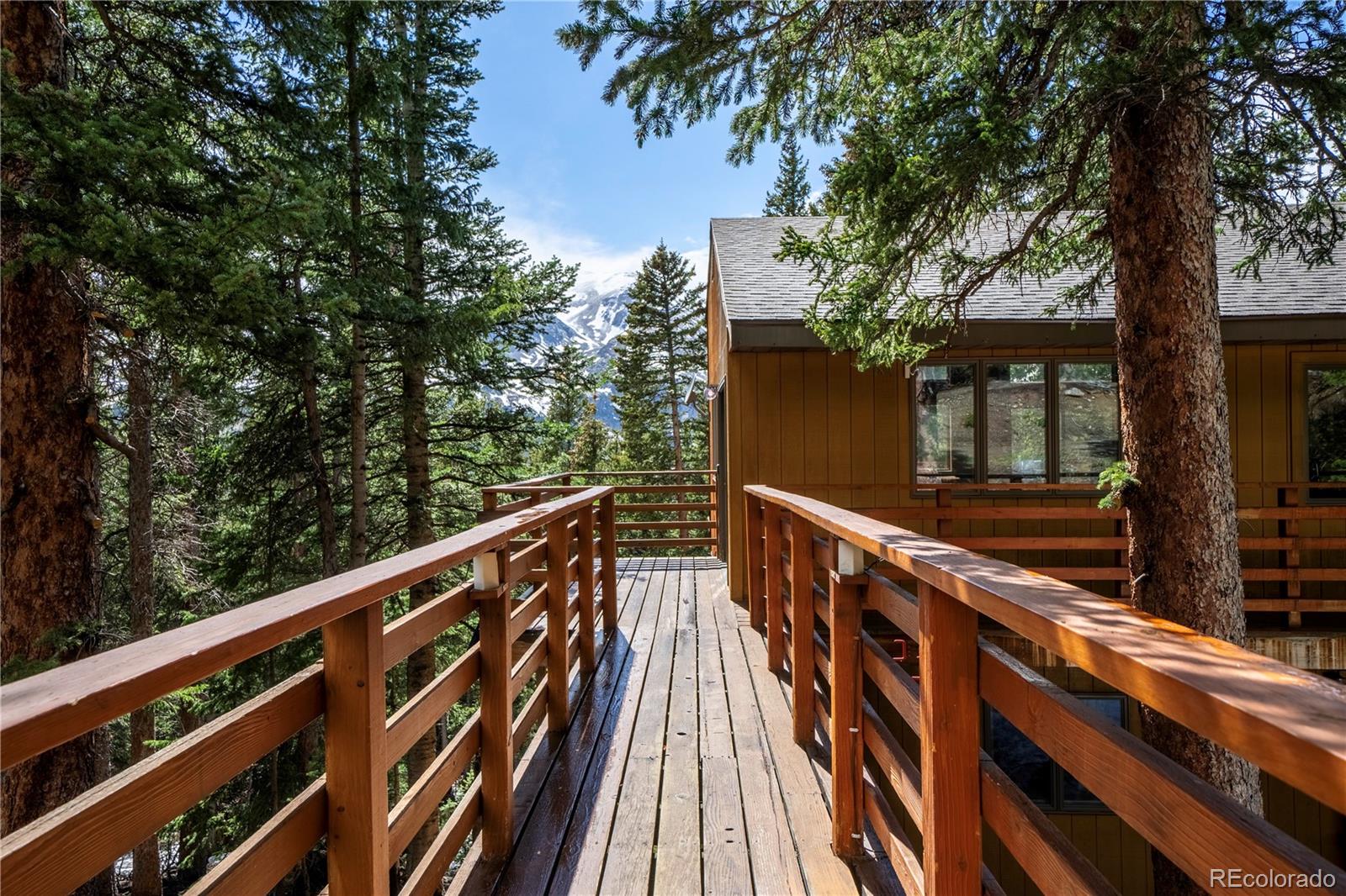 307 Lakeview Drive Alma CO 80420