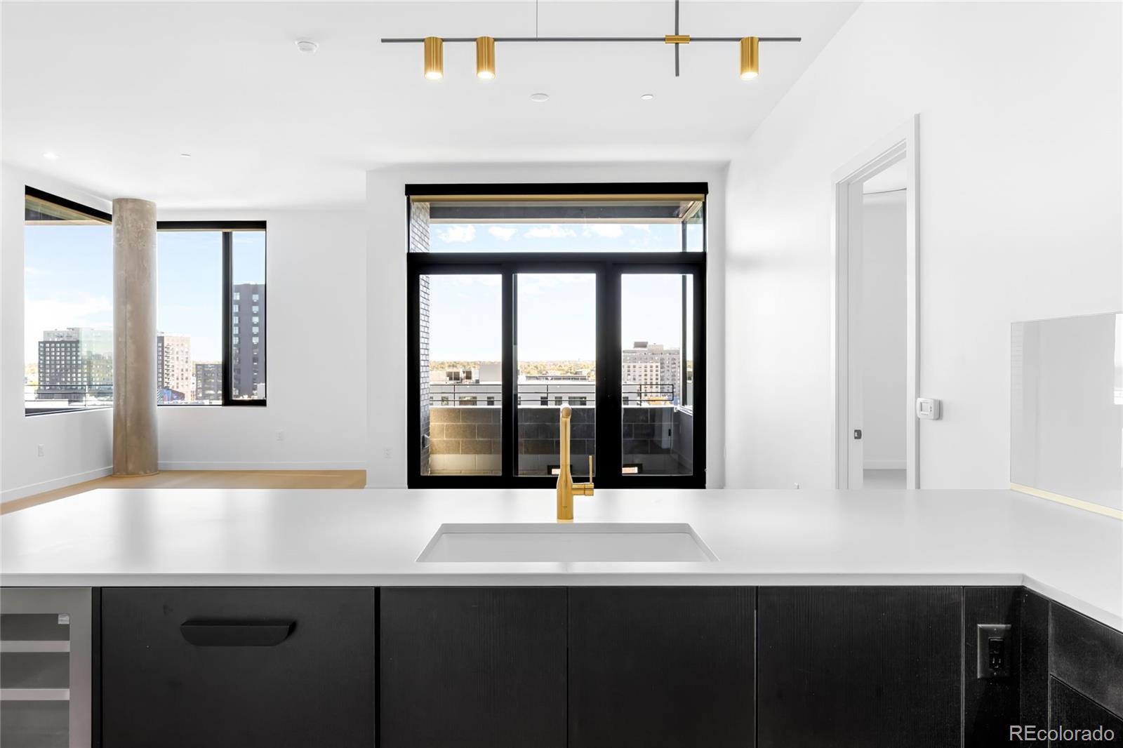 3520 Chestnut Place Denver CO 80216