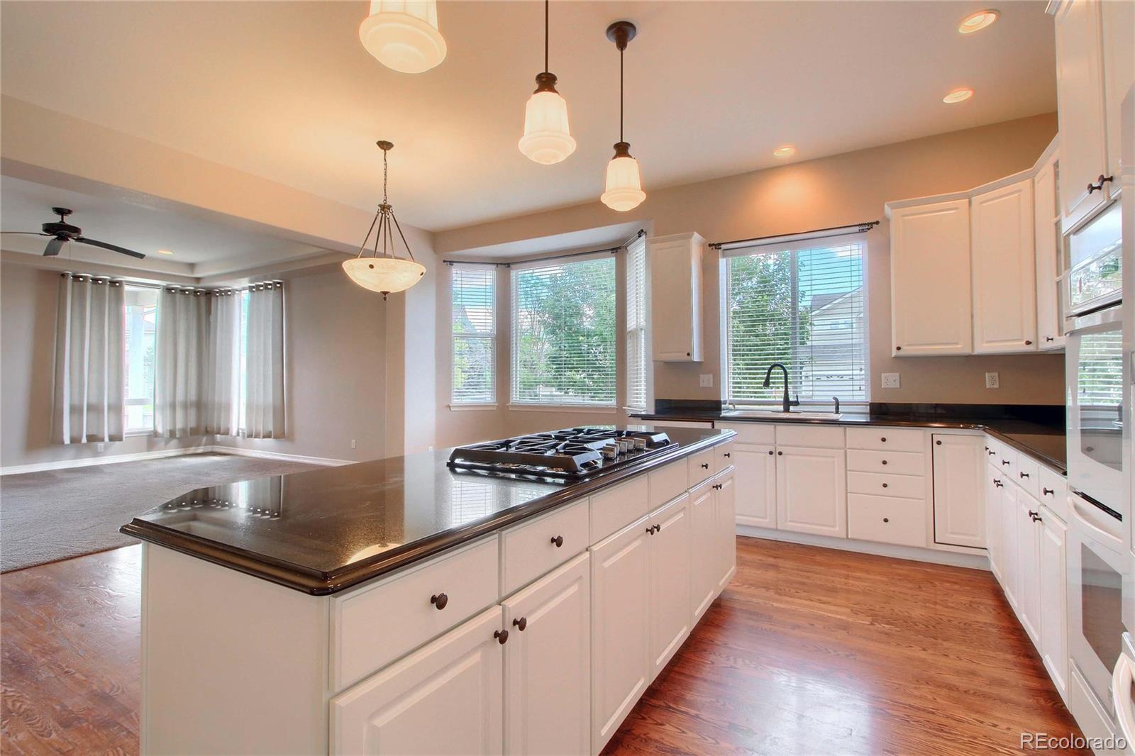 9526 S Coltsfoot Drive Parker CO 80134