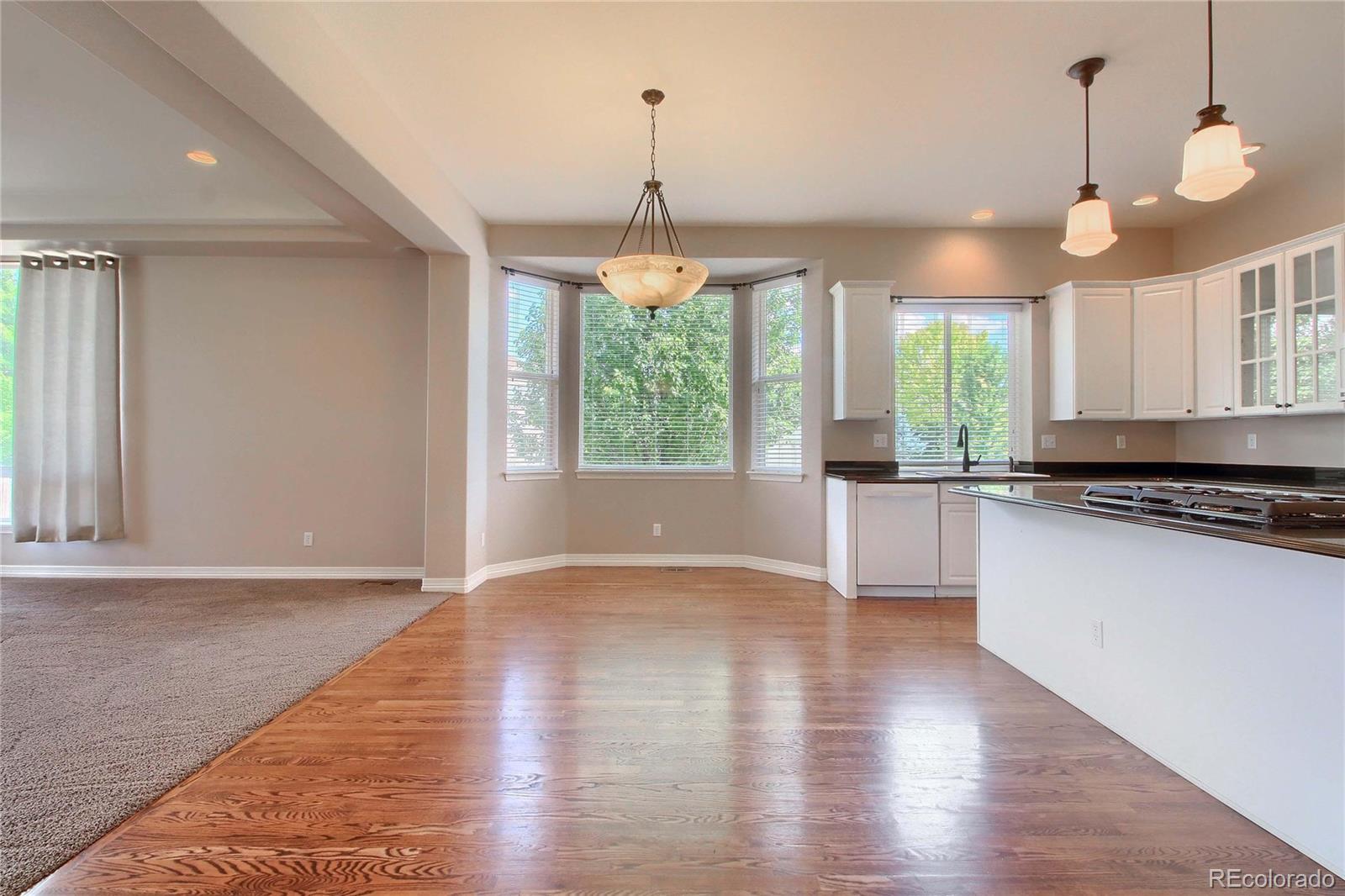 9526 S Coltsfoot Drive Parker CO 80134