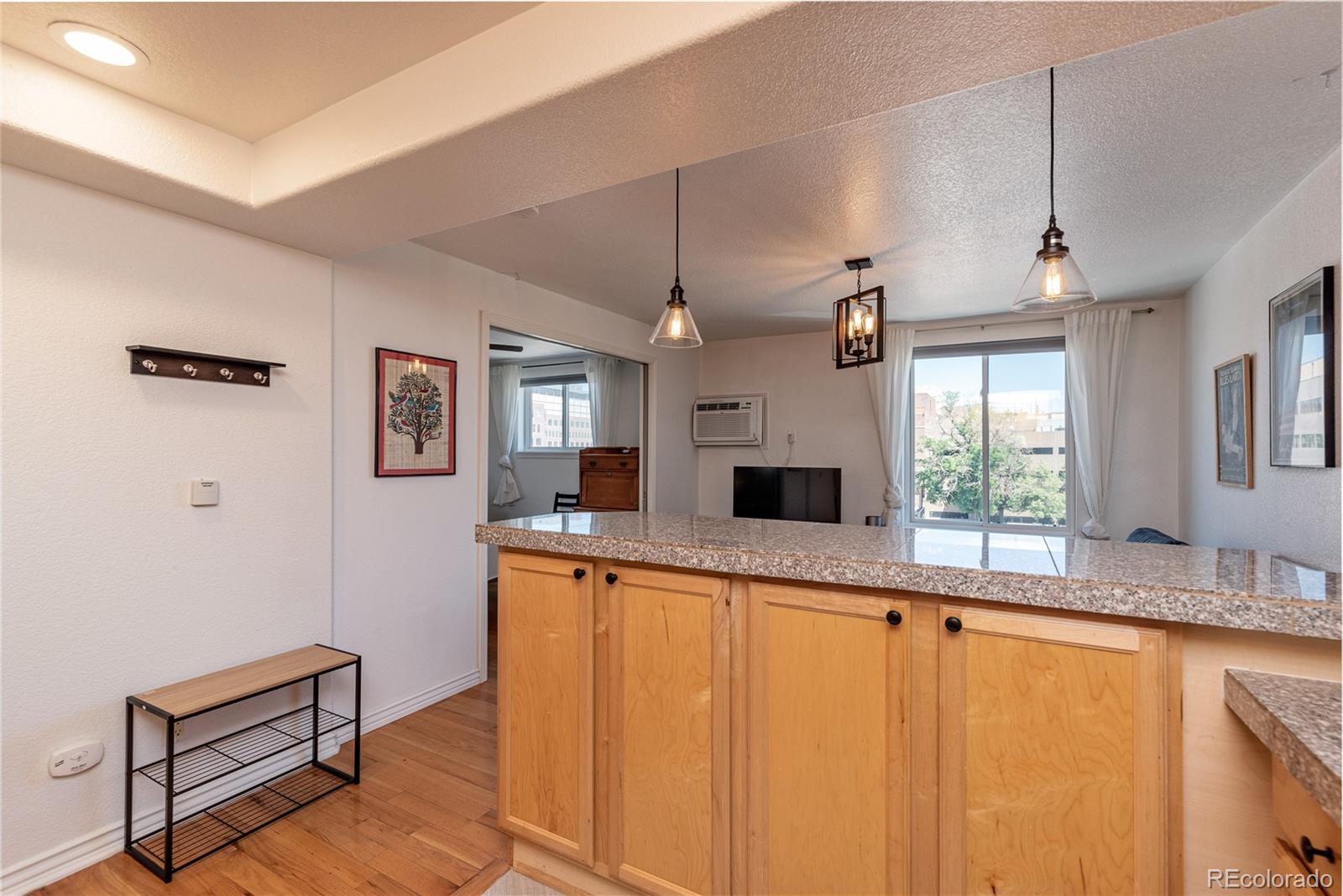 1833 N Williams Street Denver CO 80218