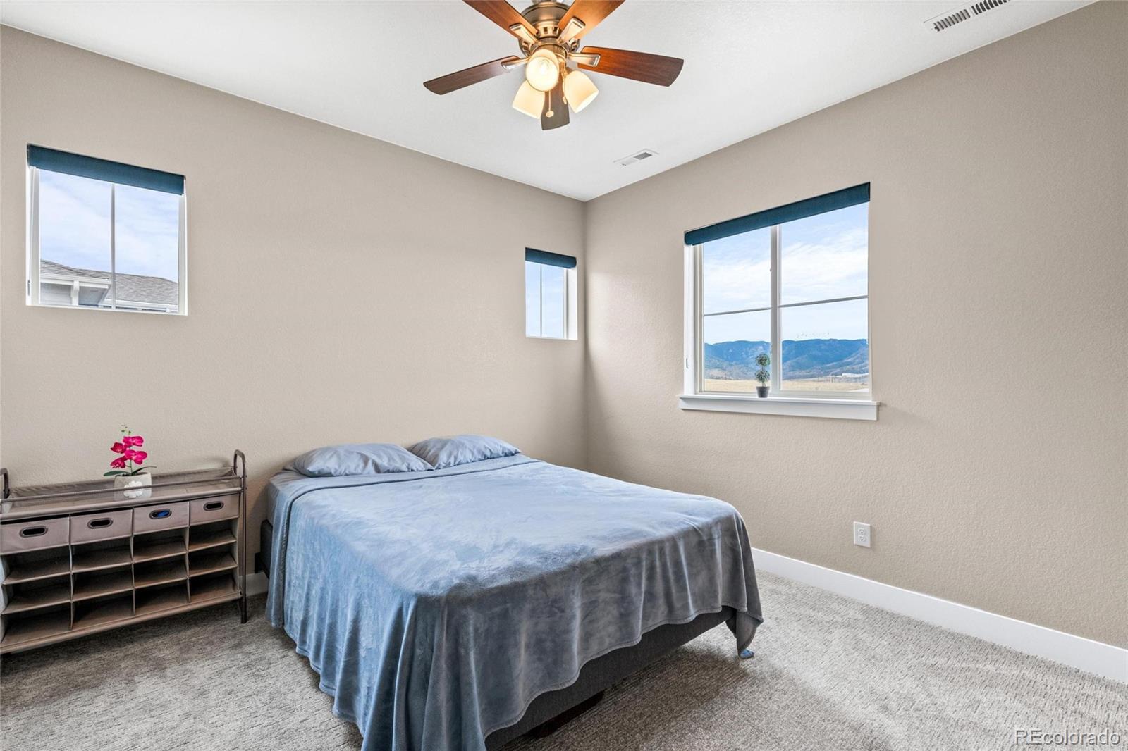 9496 Mount Jackson Street Littleton CO 80125
