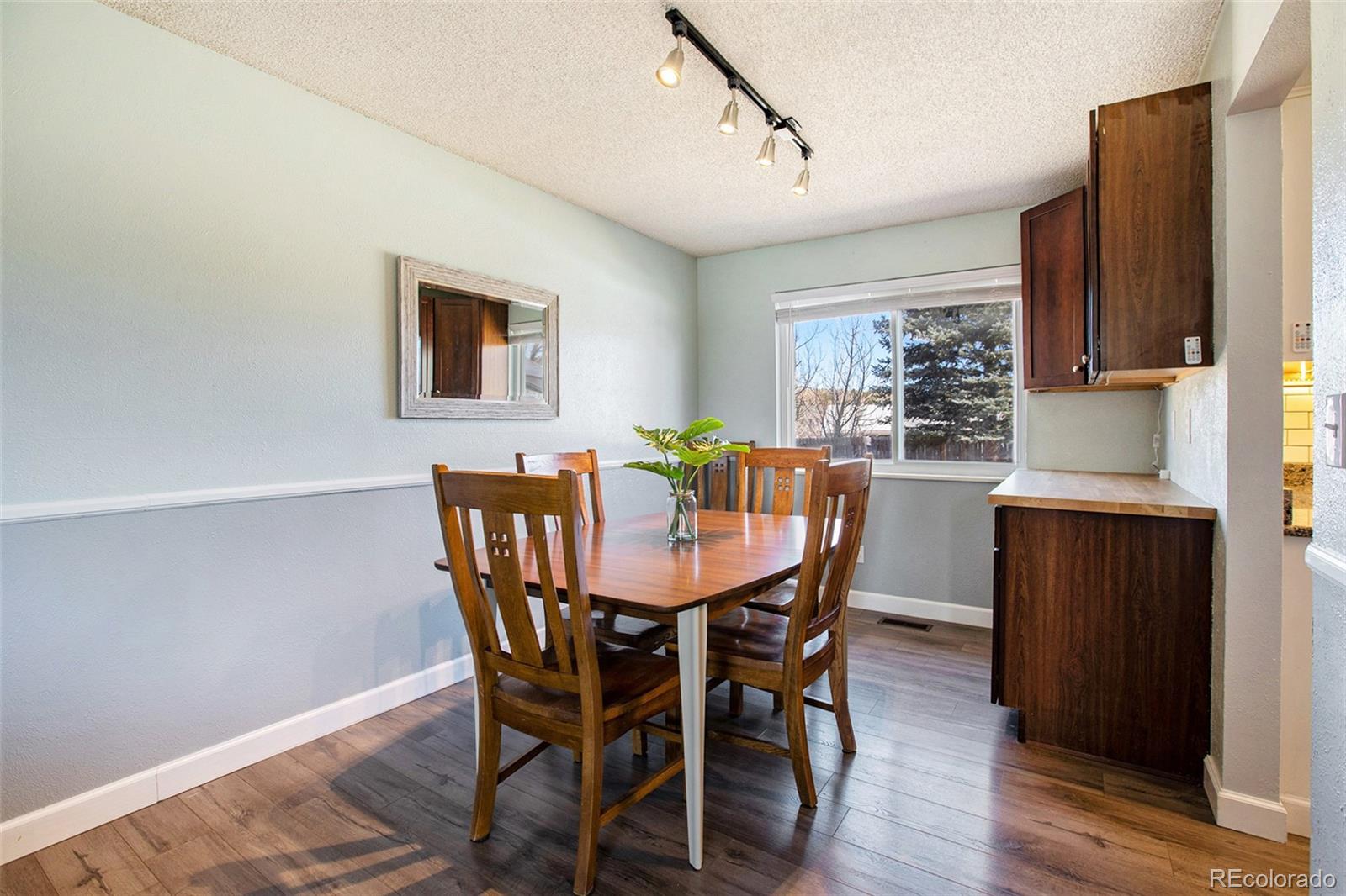 994 Pleasant View Street Castle Rock CO 80104