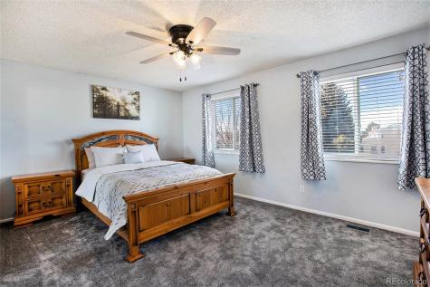994 Pleasant View Street Castle Rock CO 80104