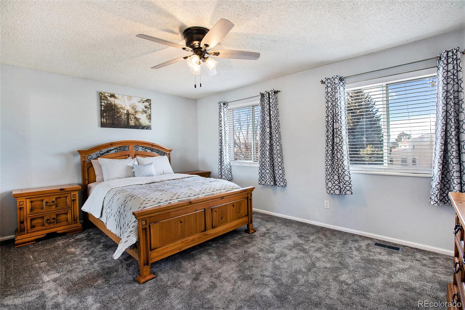 994 Pleasant View Street Castle Rock CO 80104
