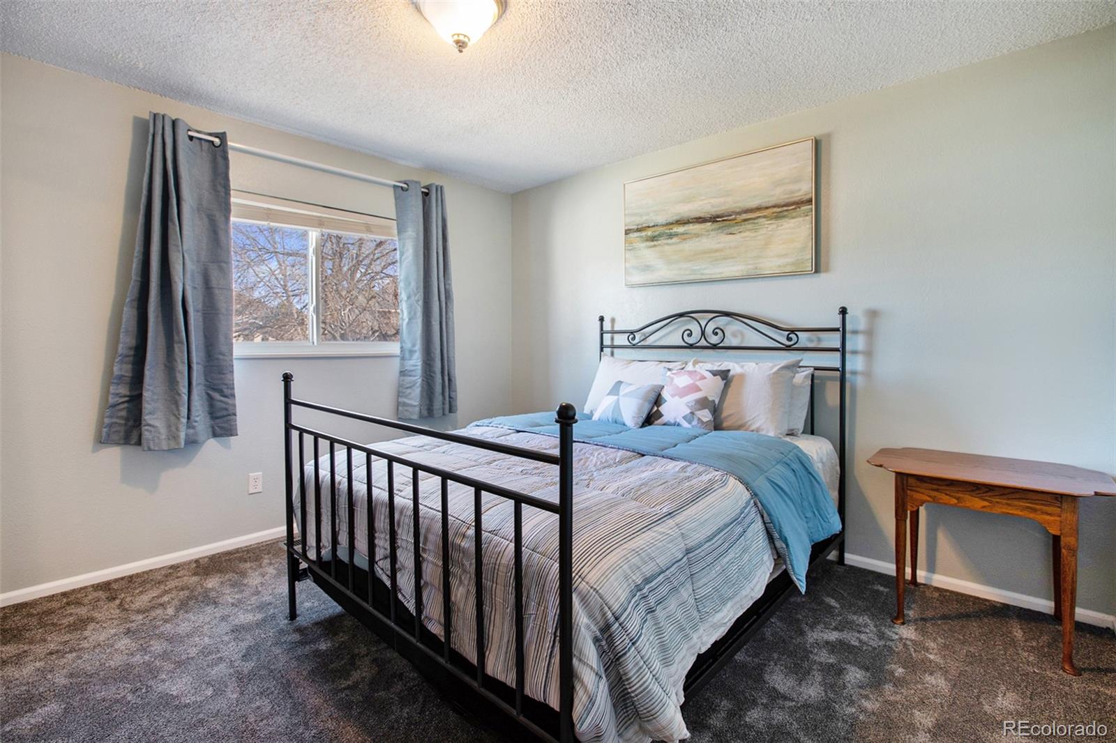 994 Pleasant View Street Castle Rock CO 80104