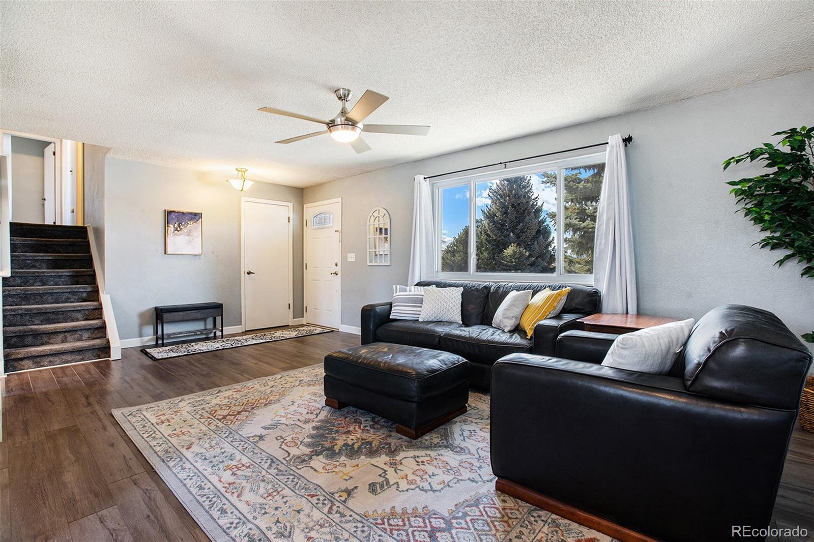 994 Pleasant View Street Castle Rock CO 80104