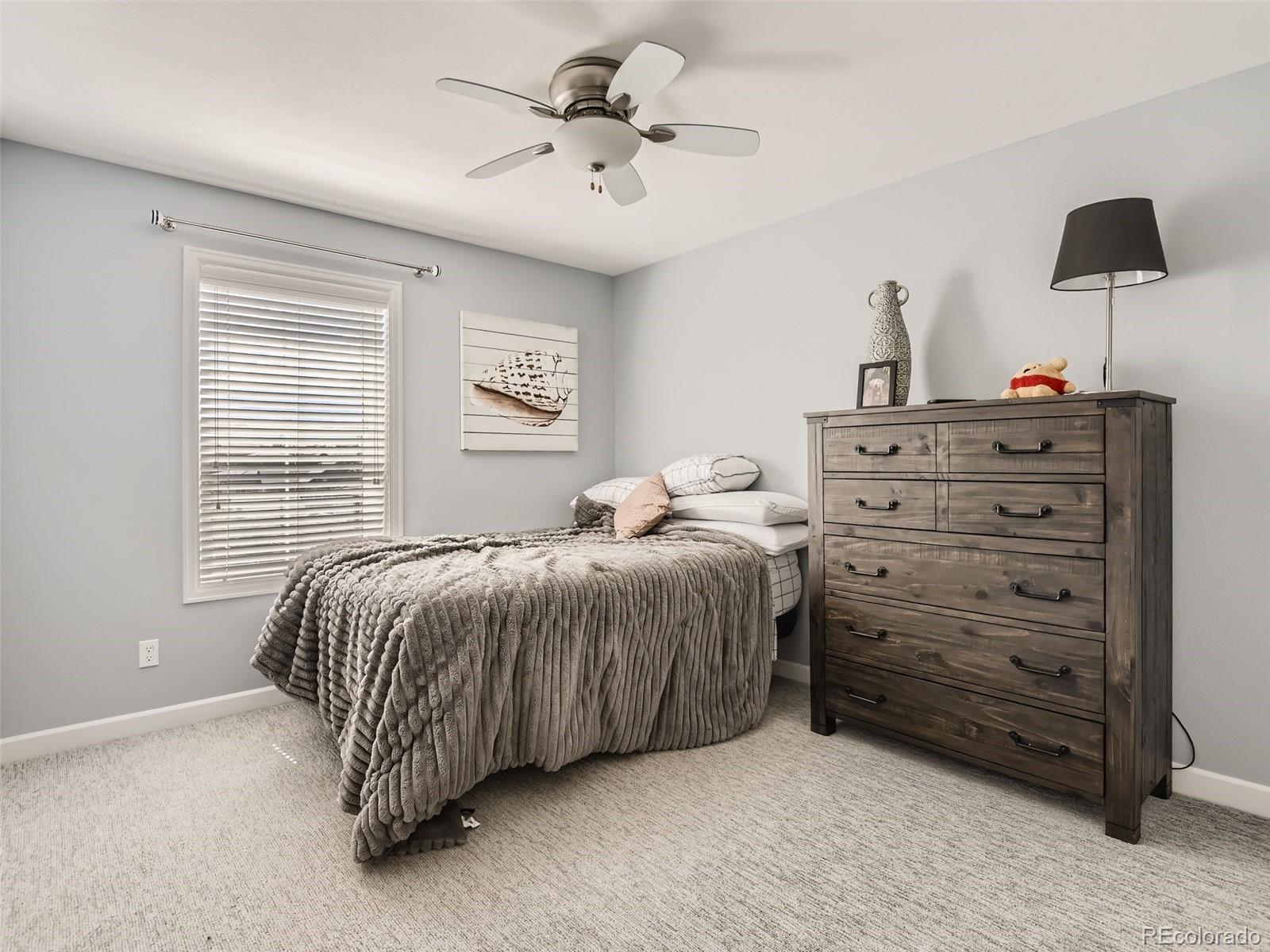 664 Tiger Lily Way Highlands Ranch CO 80126