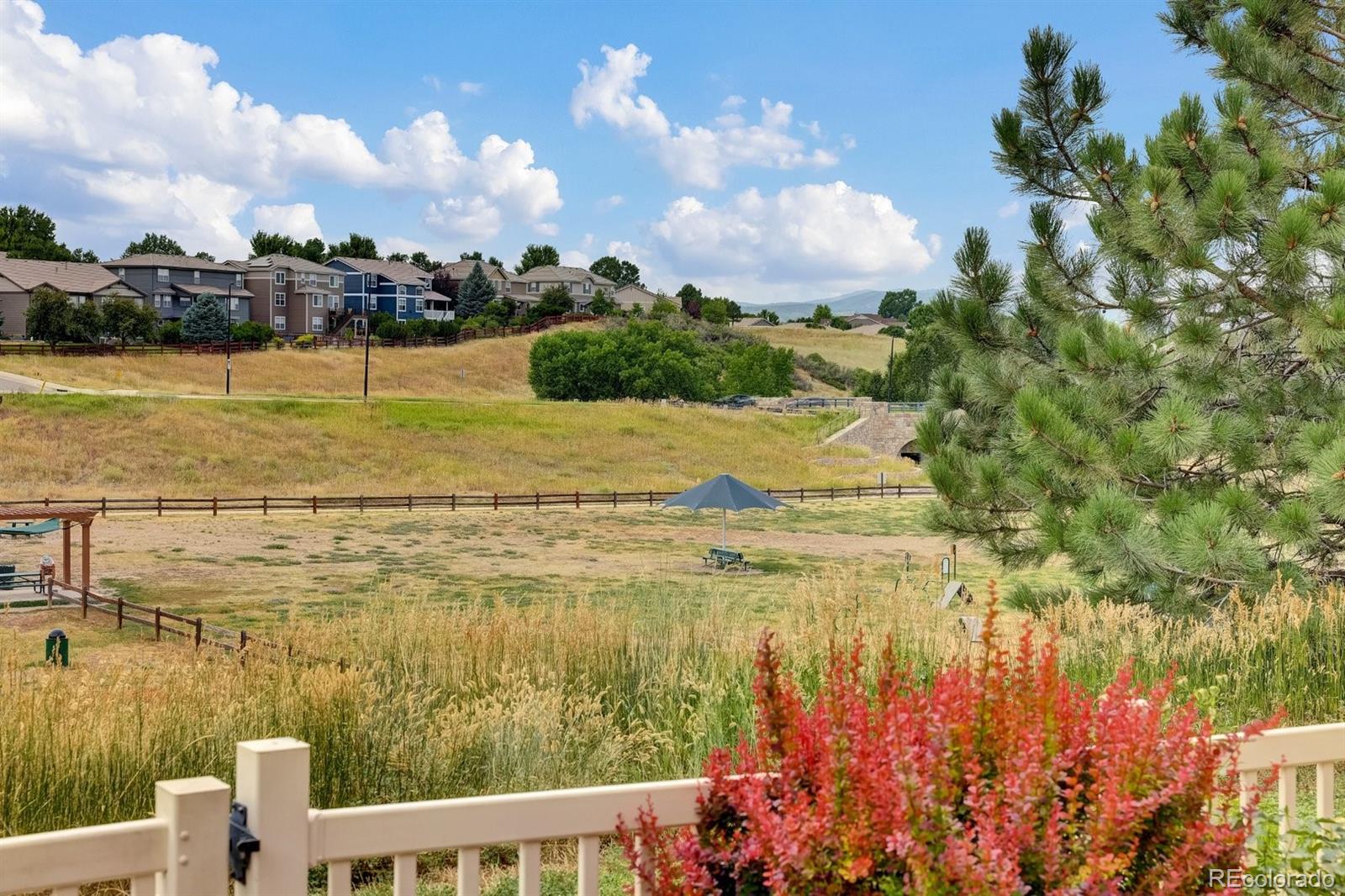 3719 Pecos Trail Castle Rock CO 80109