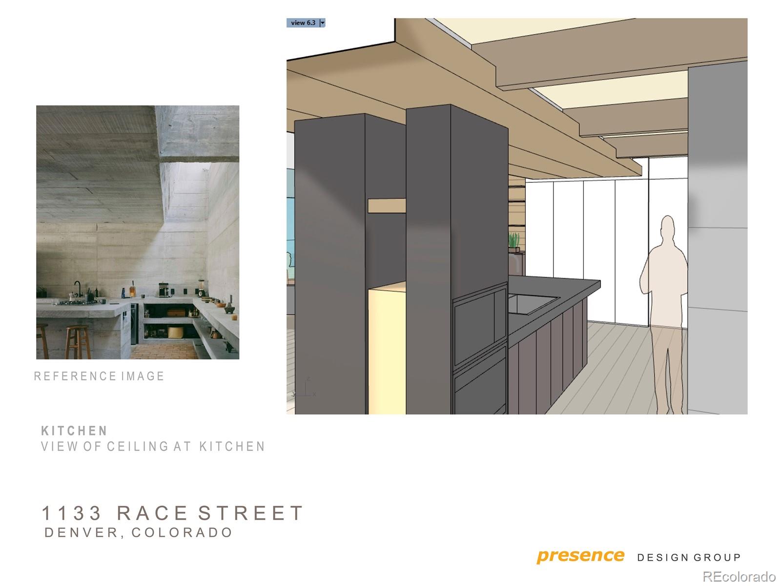 1133 Race Street Denver CO 80206