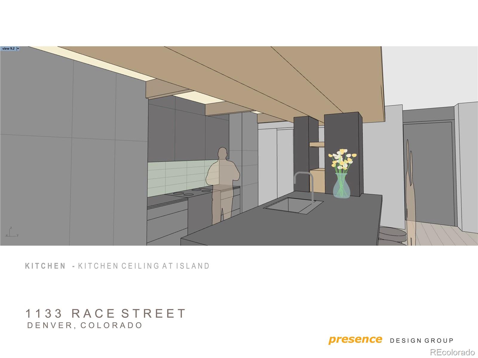 1133 Race Street Denver CO 80206