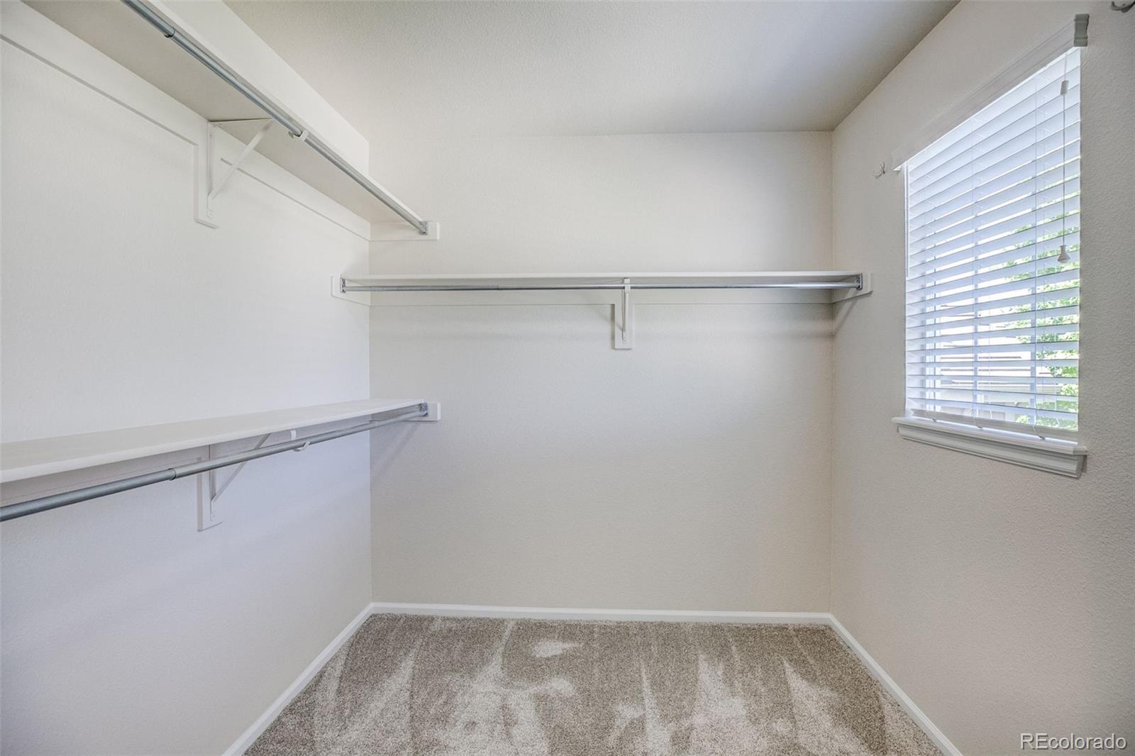 2894 Bixby Court Castle Rock CO 80109