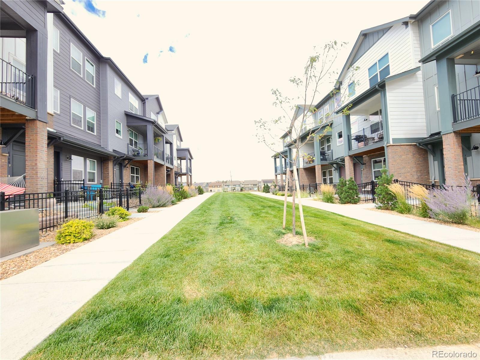 7035 Cumbria Court Castle Pines CO 80108