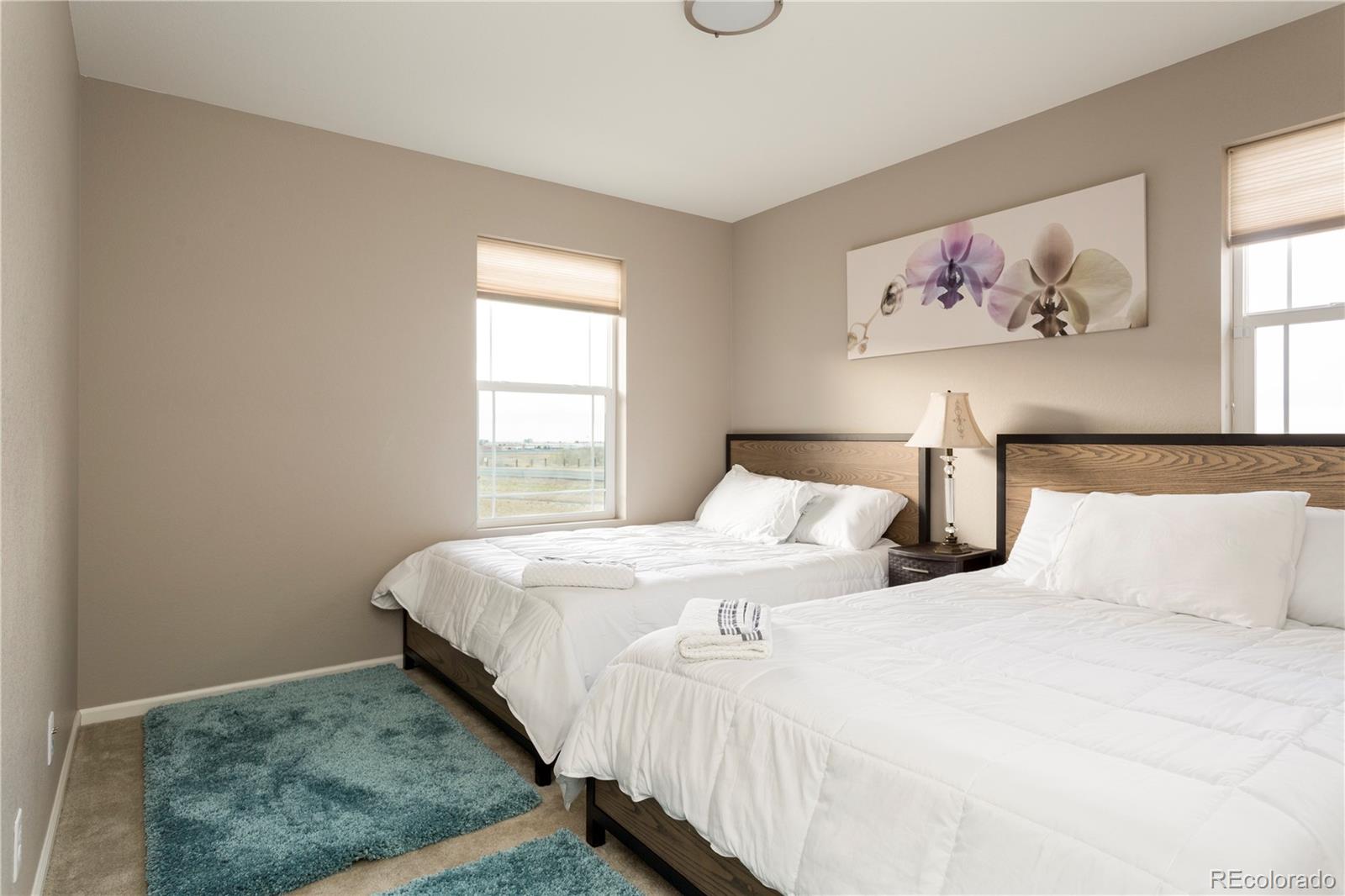 2834 Macon Way Denver CO 80238
