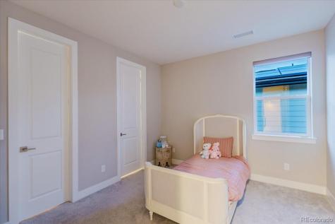 5338 Brotherton Court Castle Rock CO 80104