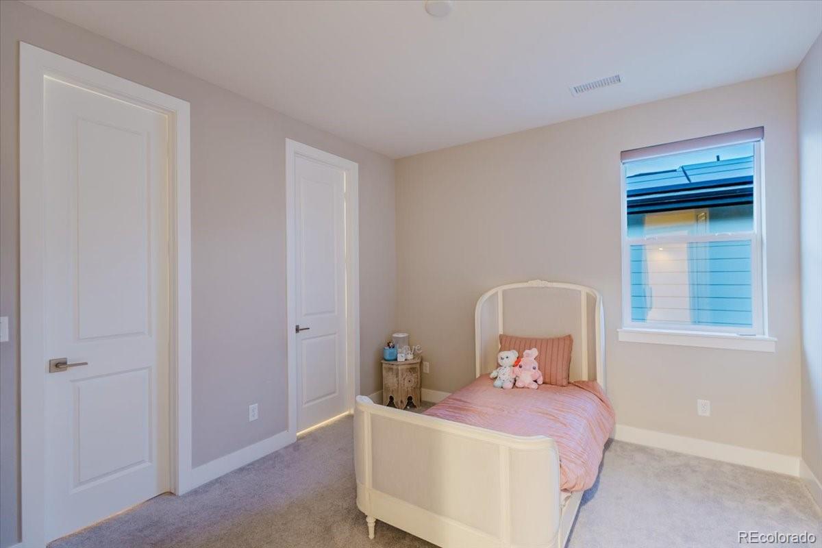5338 Brotherton Court Castle Rock CO 80104