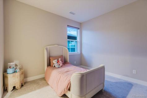 5338 Brotherton Court Castle Rock CO 80104