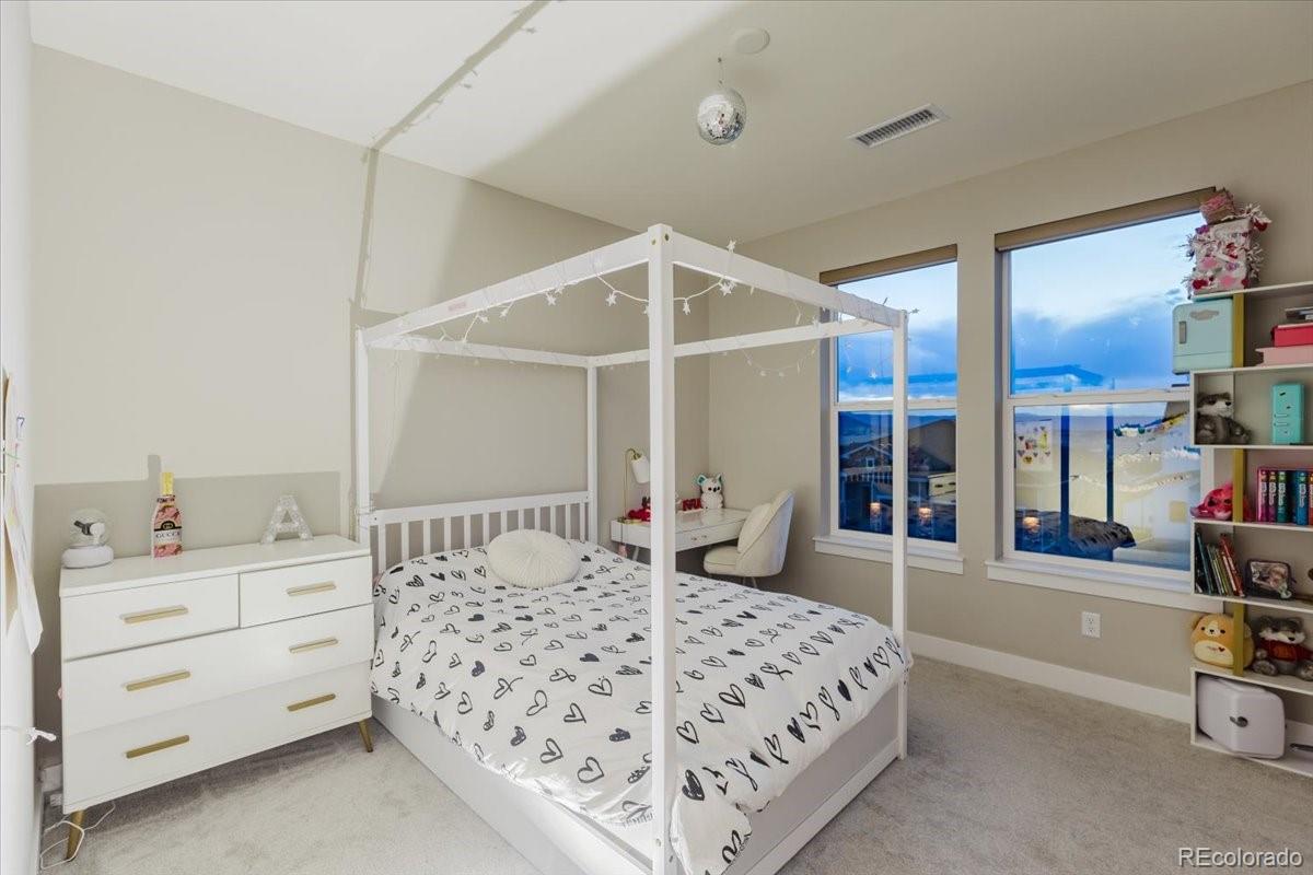 5338 Brotherton Court Castle Rock CO 80104