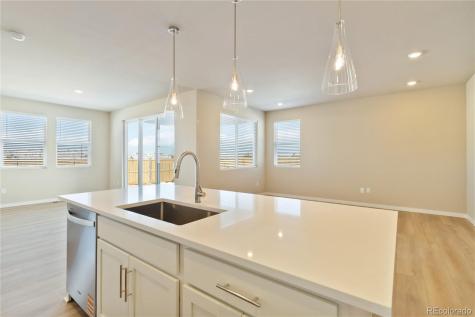 13725 Daffodil Point Parker CO 80134