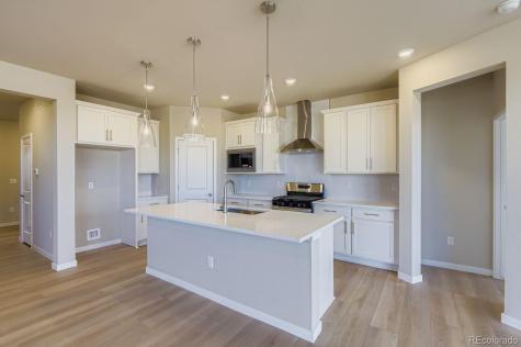 13725 Daffodil Point Parker CO 80134