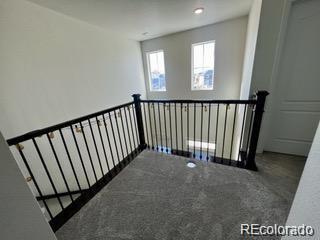 14056 Jackson Street Thornton CO 80602