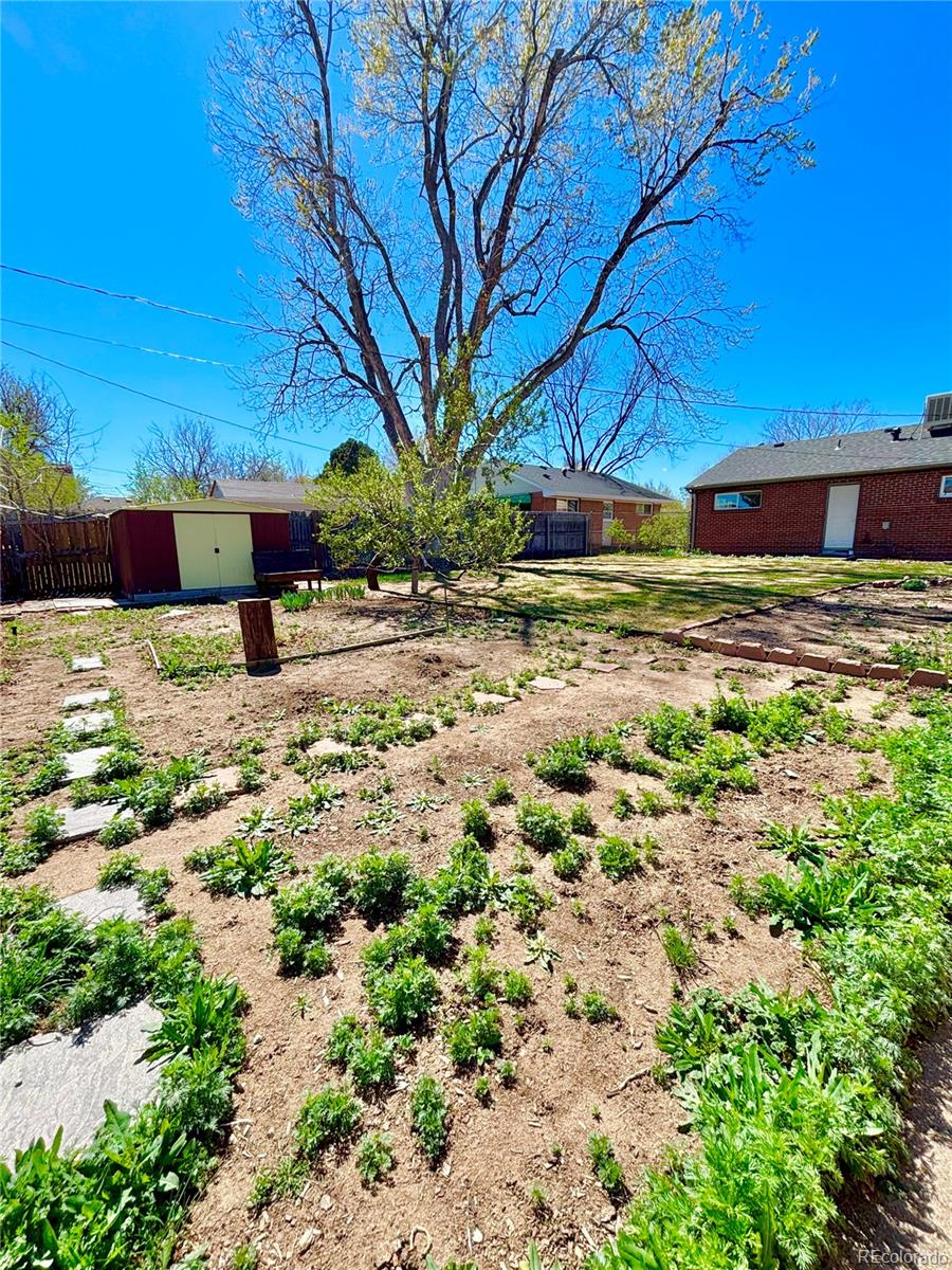 3556 Fairfax Street Denver CO 80207