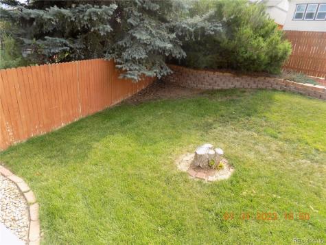 10785 Appaloosa Court Parker CO 80134