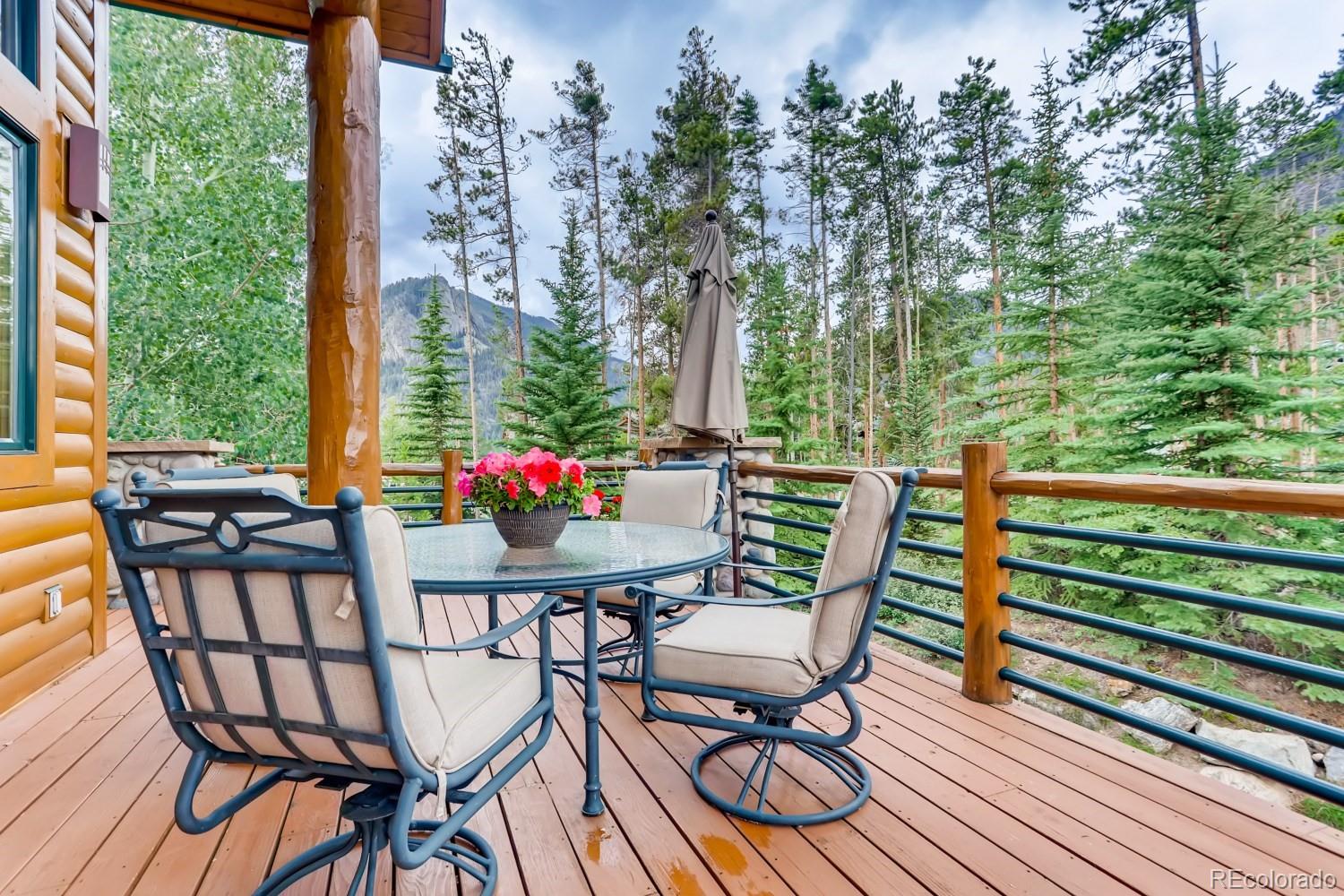 113 Primrose Place Frisco CO 80443