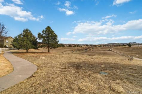 3797 Windriver Trail Castle Rock CO 80109