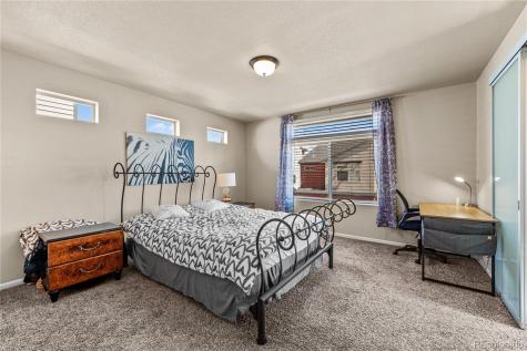 4173 Coriander Street Castle Rock CO 80109