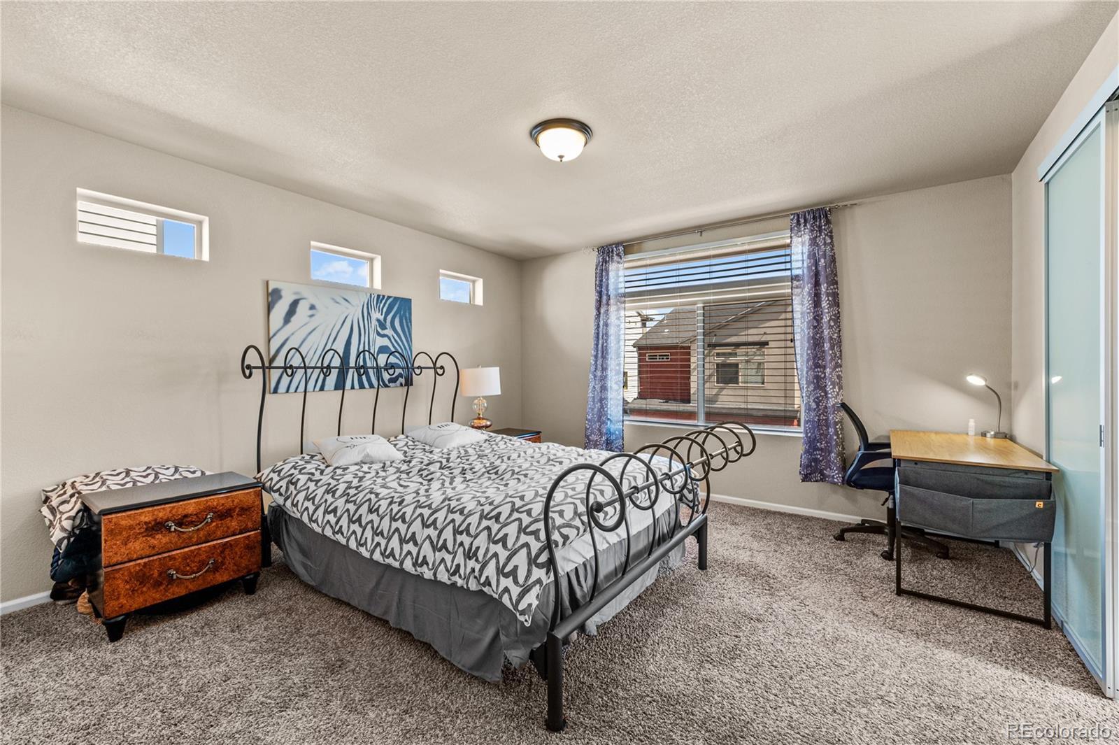 4173 Coriander Street Castle Rock CO 80109