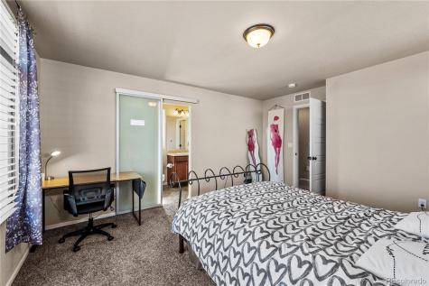4173 Coriander Street Castle Rock CO 80109