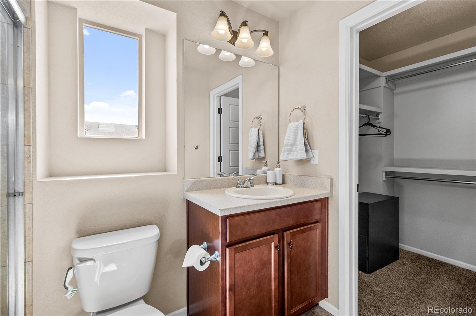 4173 Coriander Street Castle Rock CO 80109