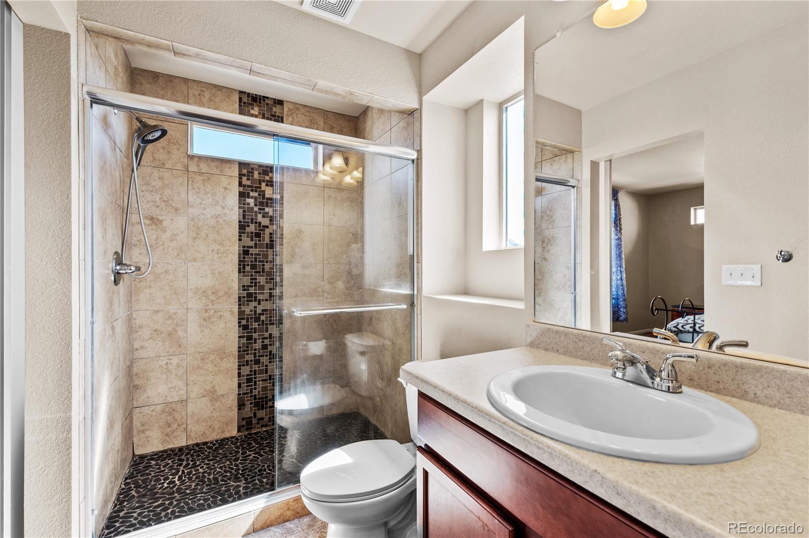 4173 Coriander Street Castle Rock CO 80109