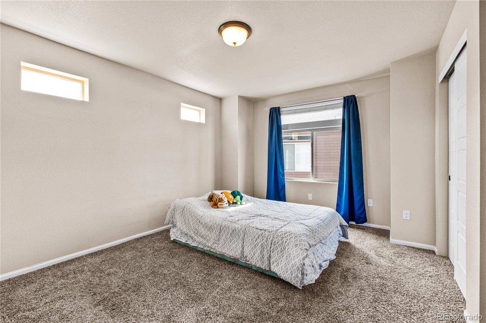 4173 Coriander Street Castle Rock CO 80109