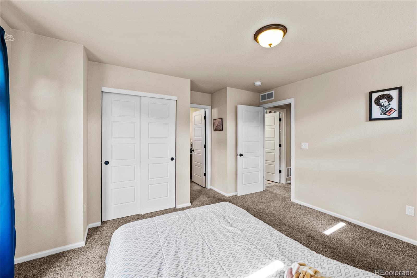4173 Coriander Street Castle Rock CO 80109