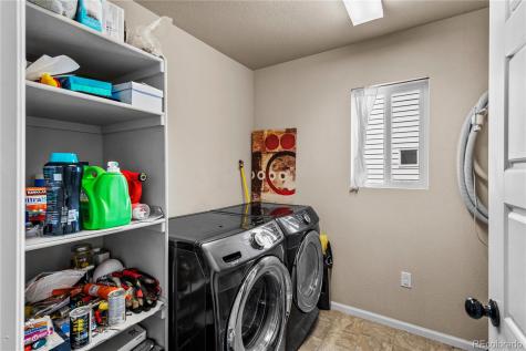 4173 Coriander Street Castle Rock CO 80109