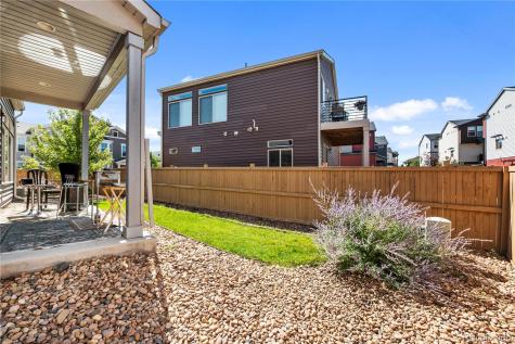 4173 Coriander Street Castle Rock CO 80109