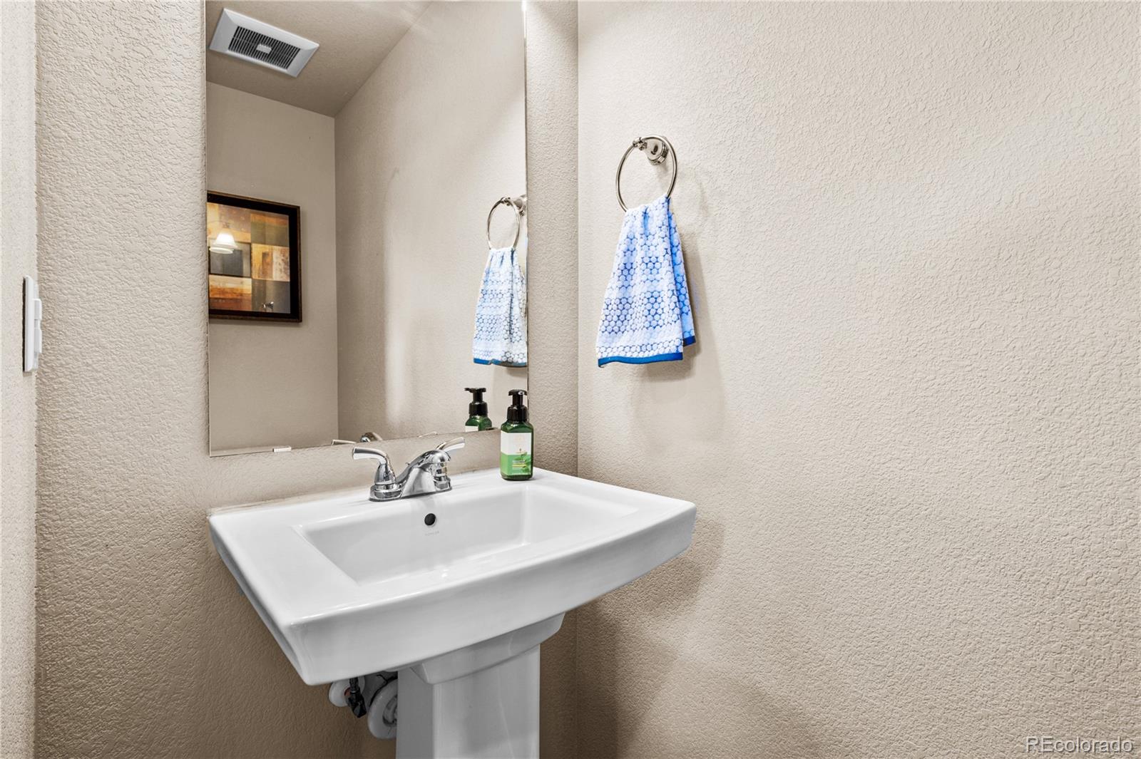 4173 Coriander Street Castle Rock CO 80109