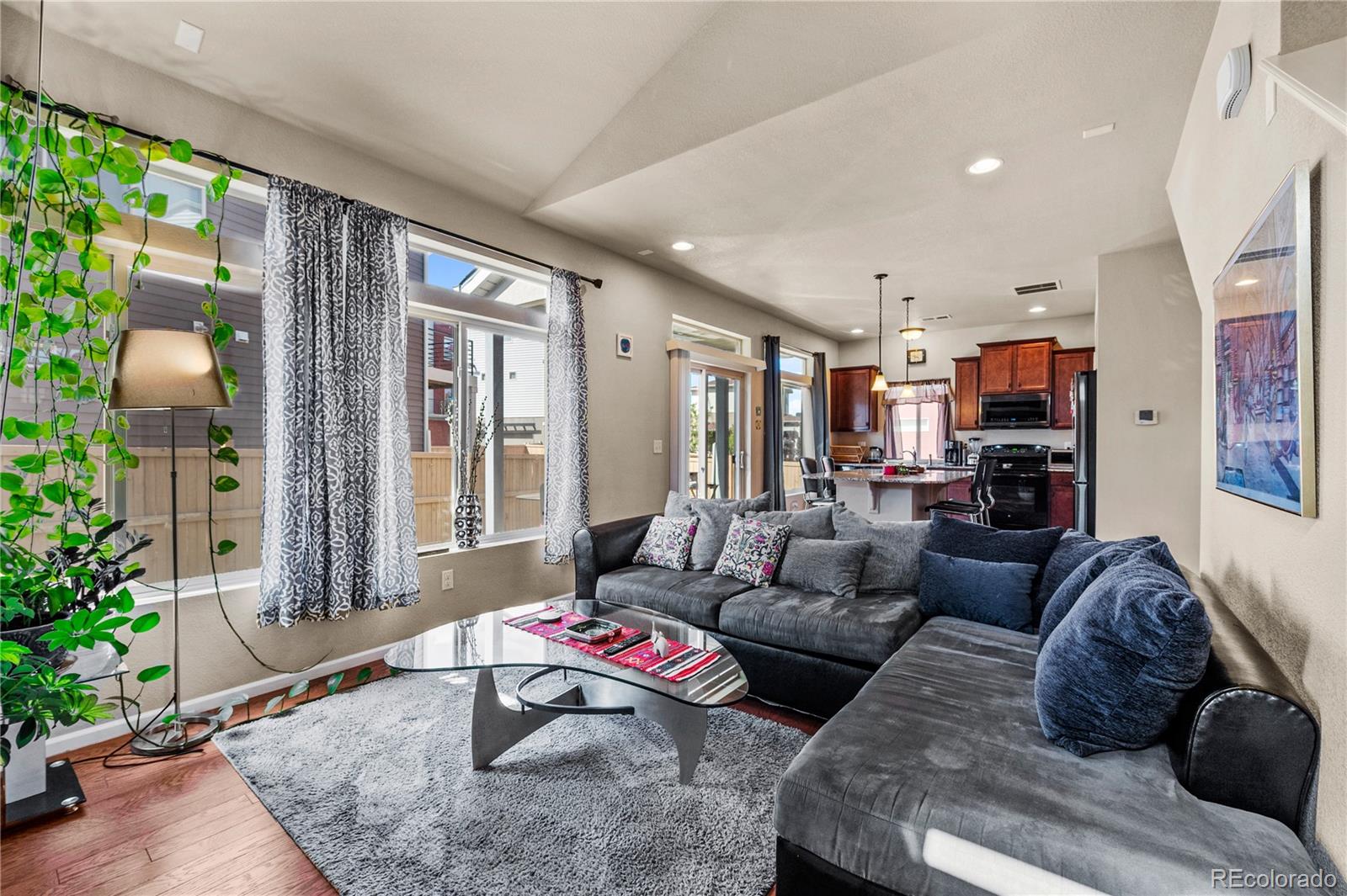 4173 Coriander Street Castle Rock CO 80109
