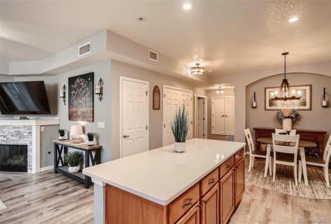 9451 Ashbury Circle Parker CO 80134