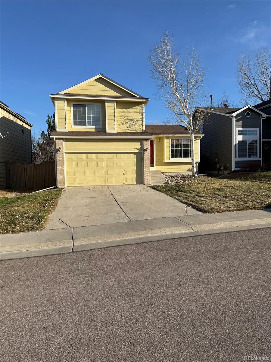 3710 Licorice Trail Castle Rock CO 80109