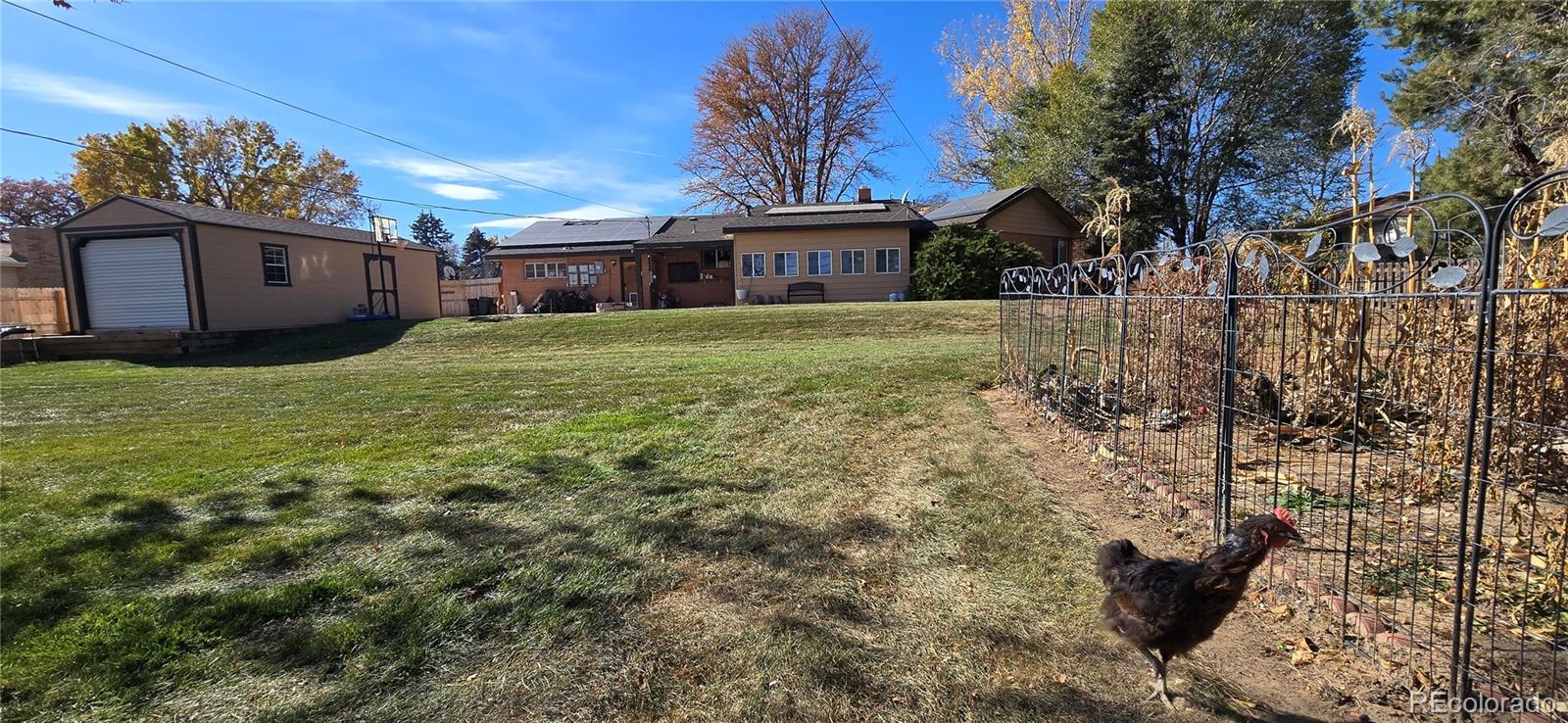2604 50th Avenue Greeley CO 80634