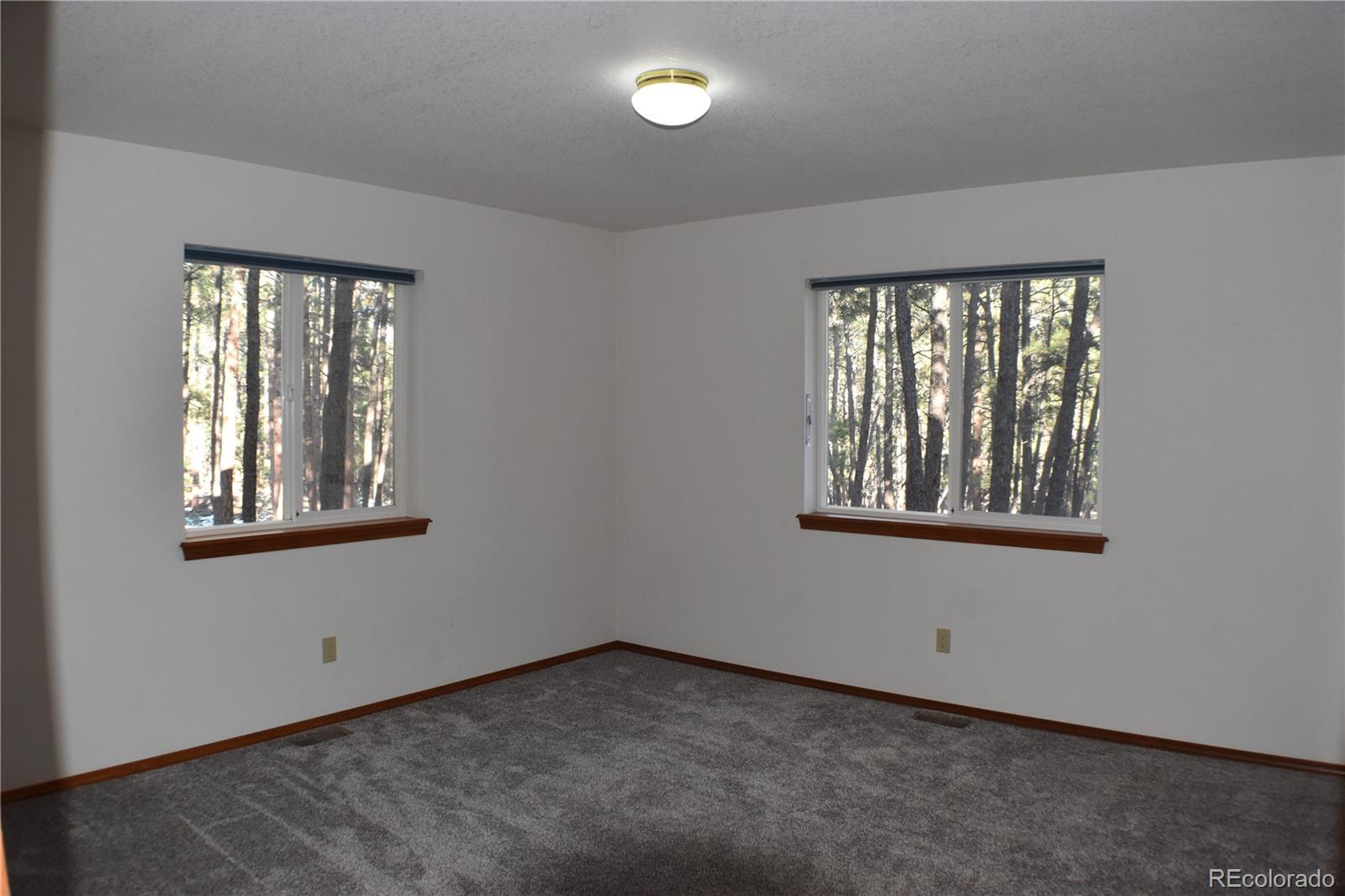 14540 Rosholt Loop Colorado Springs CO 80921