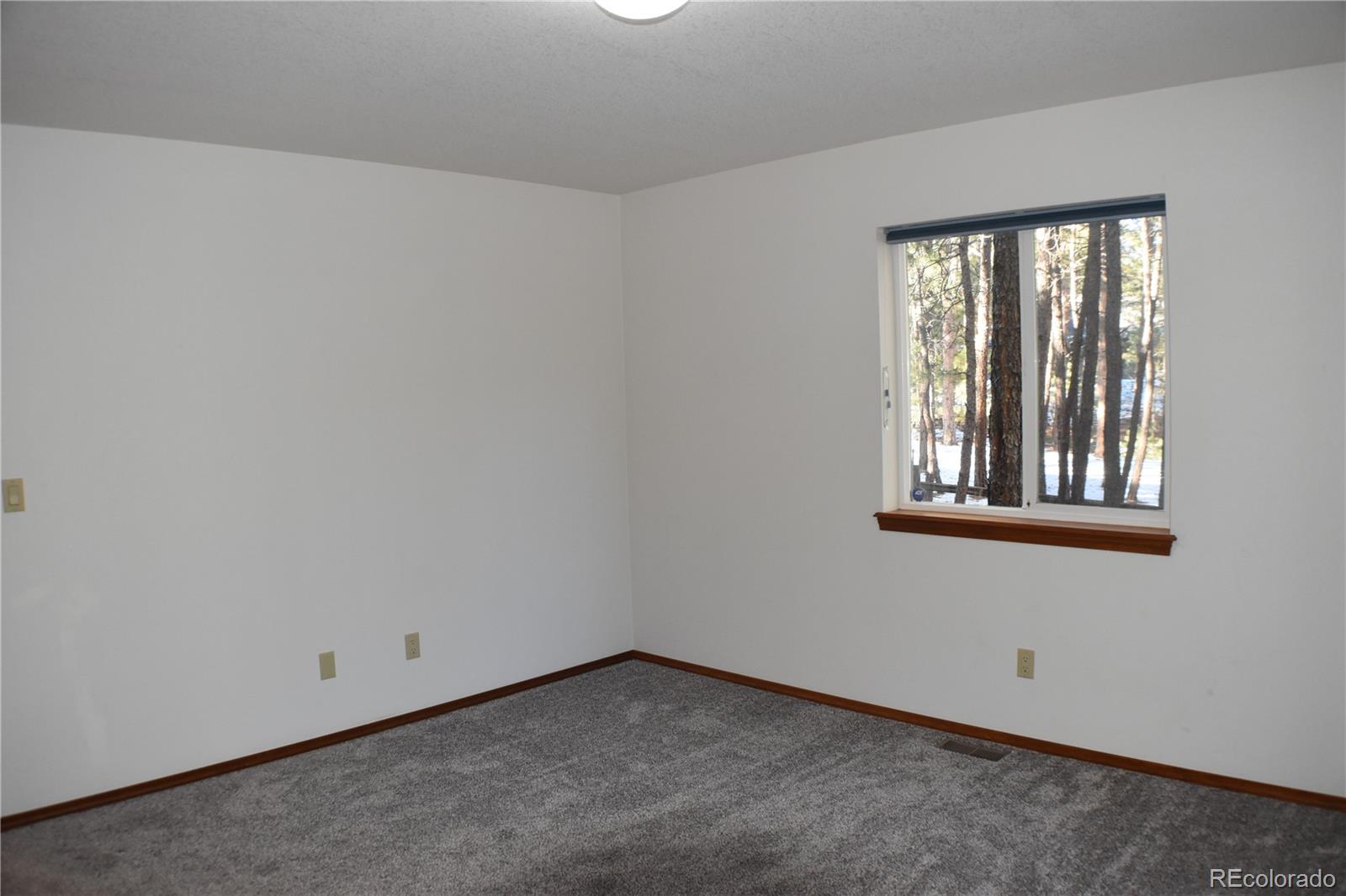14540 Rosholt Loop Colorado Springs CO 80921