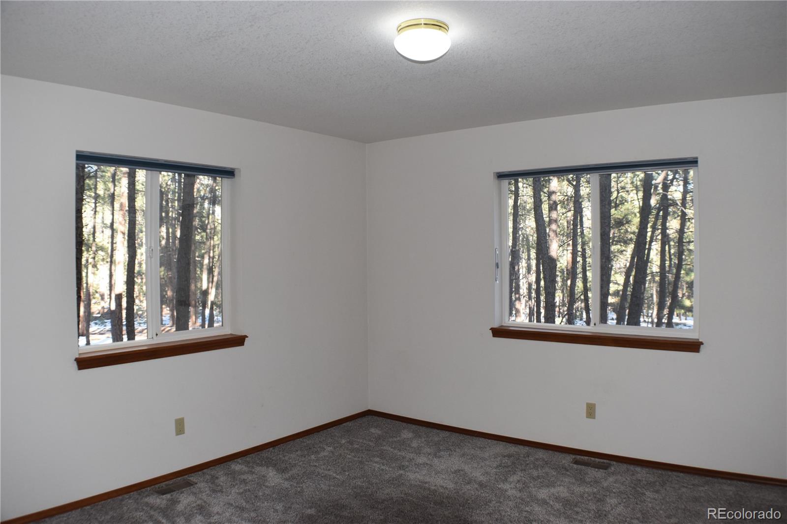 14540 Rosholt Loop Colorado Springs CO 80921